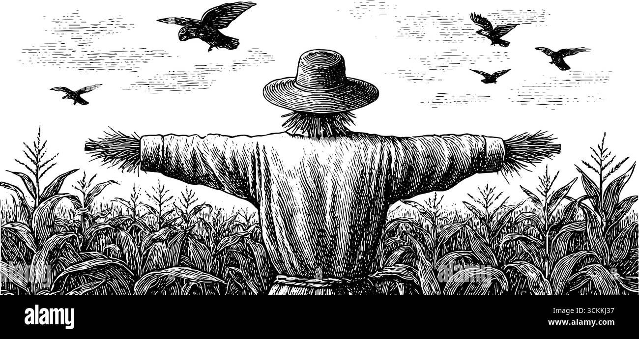 Scène rustique de champ de maïs gravé avec épouvantail et oiseaux. Illustration de Vecteur