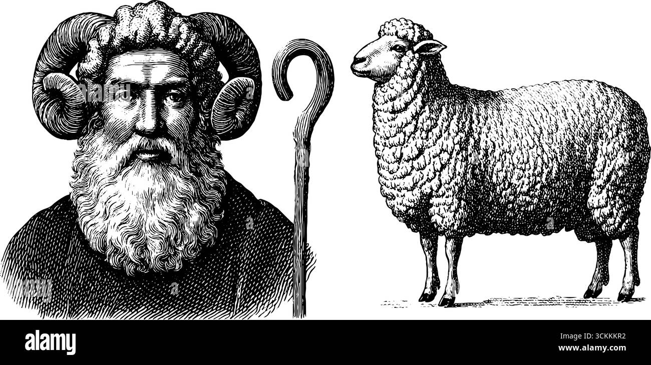 Illustration gravée de berger et de moutons pour des dessins rustiques et des tirages d'art. Illustration de Vecteur