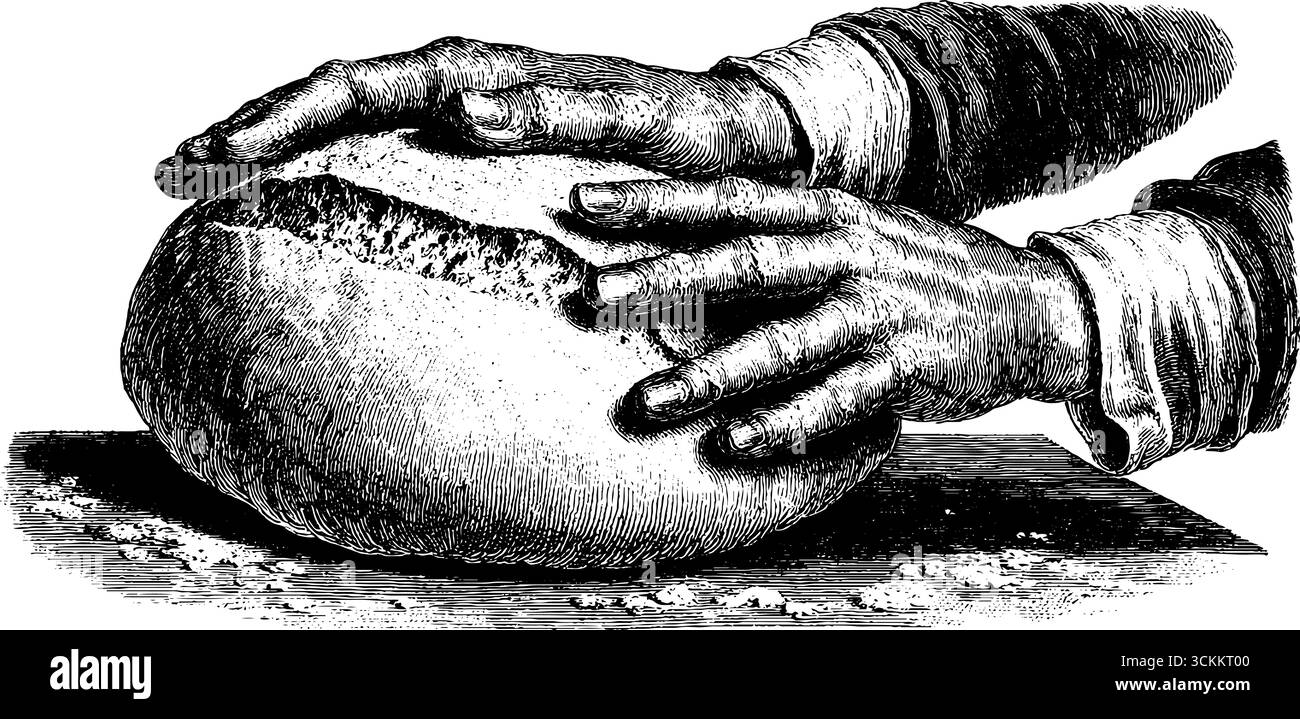 Gravure vintage des mains de boulanger façonnant la pâte – parfait pour la conception d'art culinaire. Illustration de Vecteur