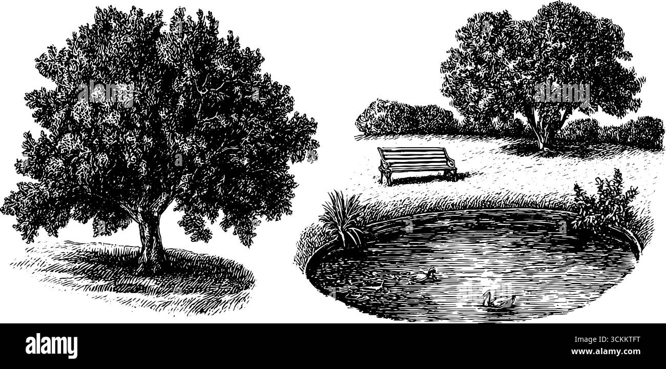 Illustration gravée de village vert avec arbres et scène d'étang. Illustration de Vecteur