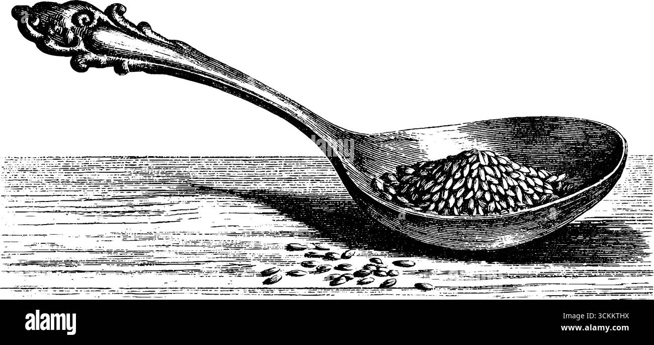 Illustration gravée vintage de grain de riz unique dans la silhouette de cuillère ornée sur fond de gravure sur bois pour la conception. Illustration de Vecteur