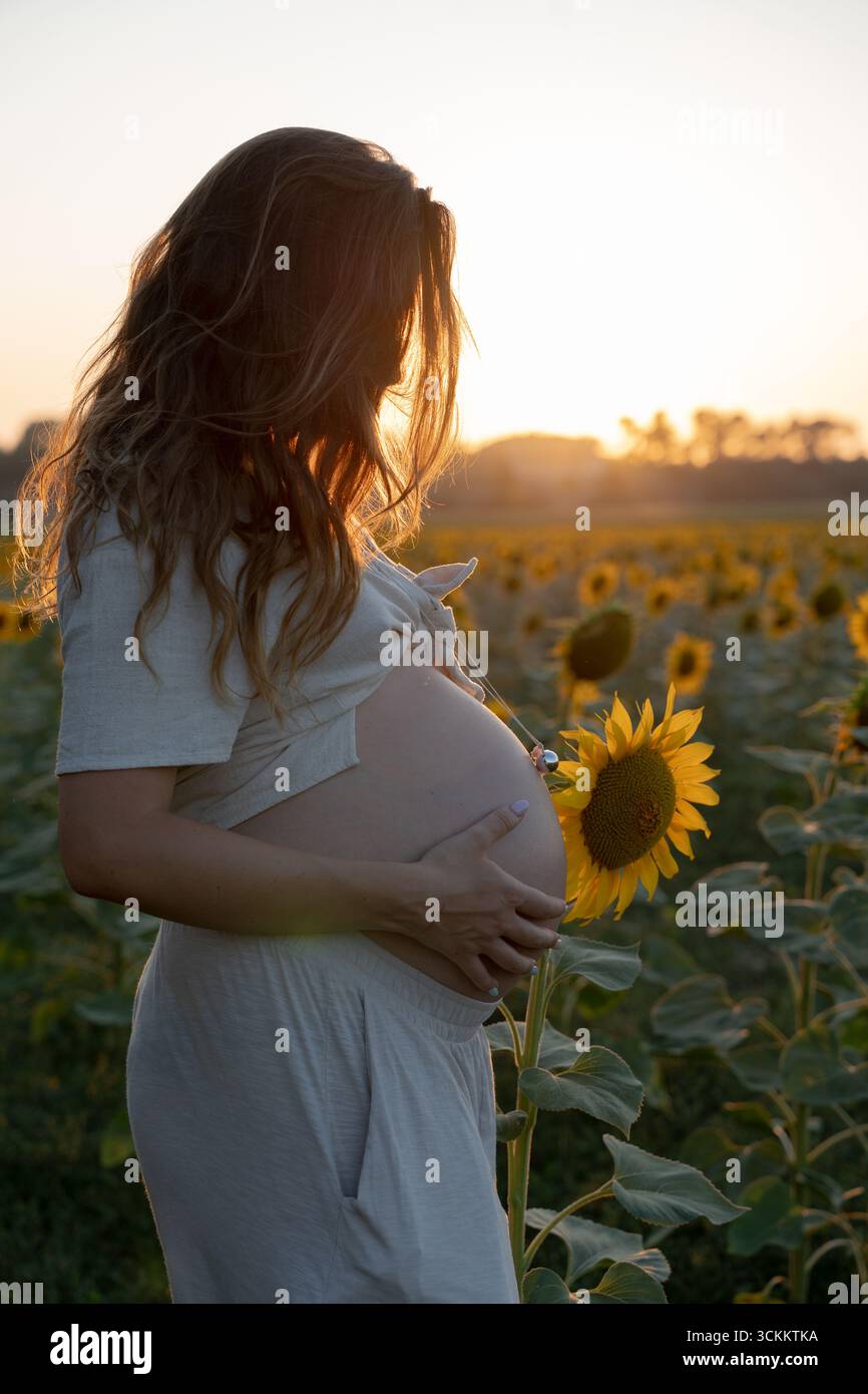Femme enceinte caressant son ventre dans un champ de tournesol, profitant de la lumière du soleil de l'heure d'or Banque D'Images