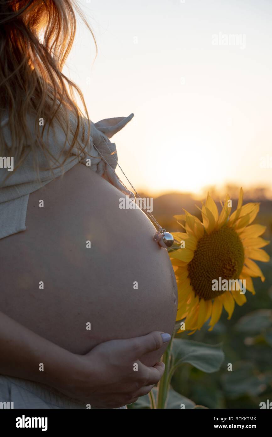 Gros plan d'une femme enceinte caressant son ventre dans un champ de tournesol, profitant de la lumière du soleil de l'heure d'or Banque D'Images