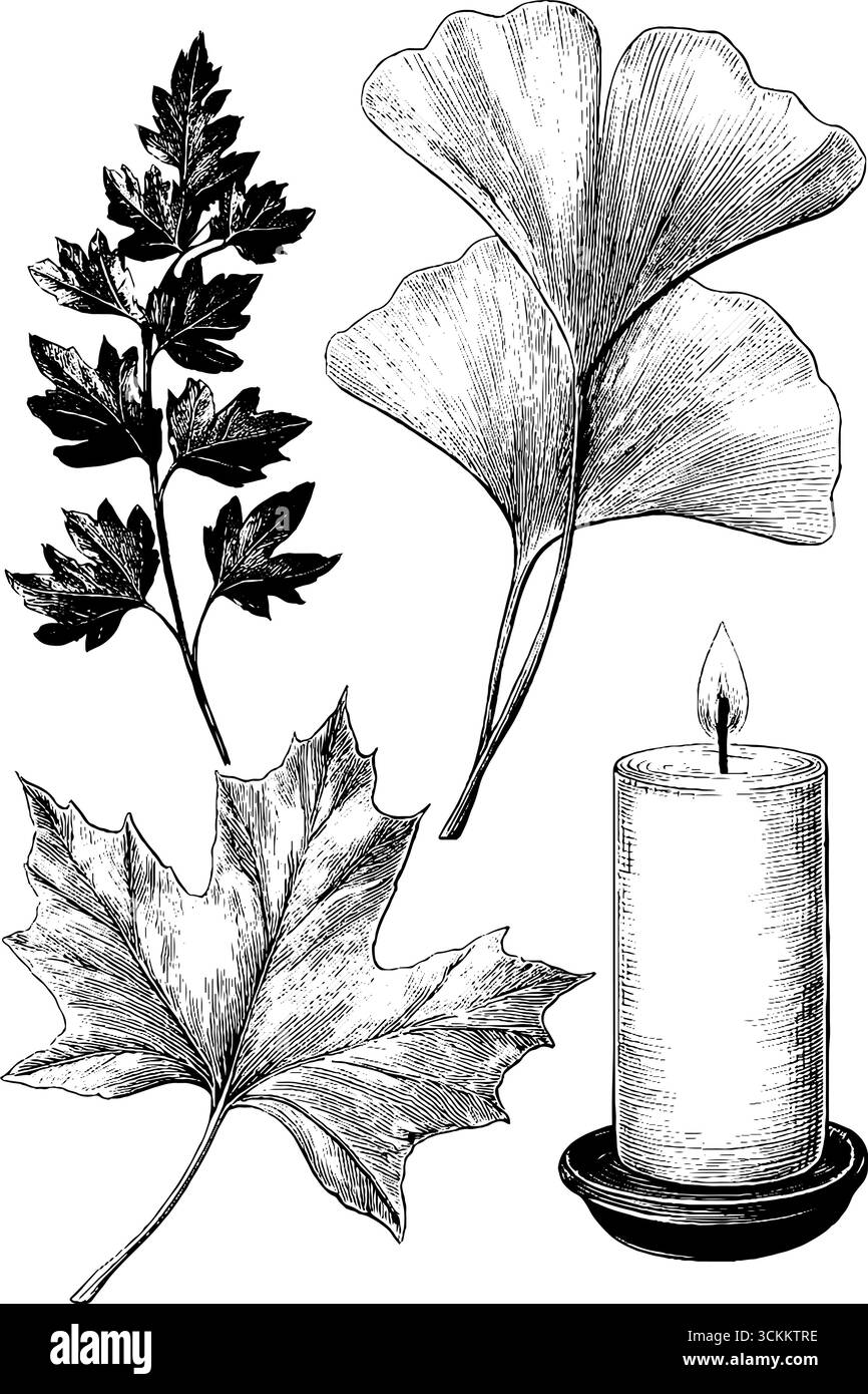 Design de cadre de feuilles et de rubans de ginkgo avec des éléments de bougie et de feuille pour l'art décoratif et l'artisanat. Illustration de Vecteur