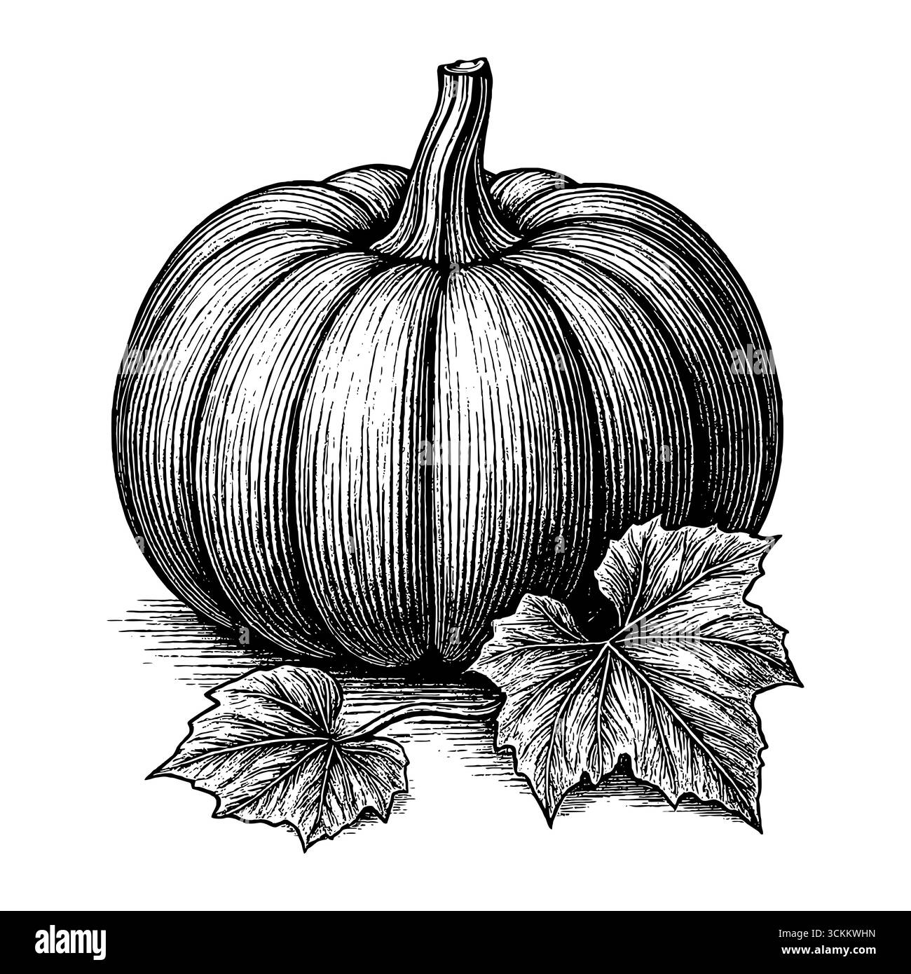 La citrouille, symbole de la récolte abondante et du jour de la récolte, jour de Thanksgiving Illustration de Vecteur