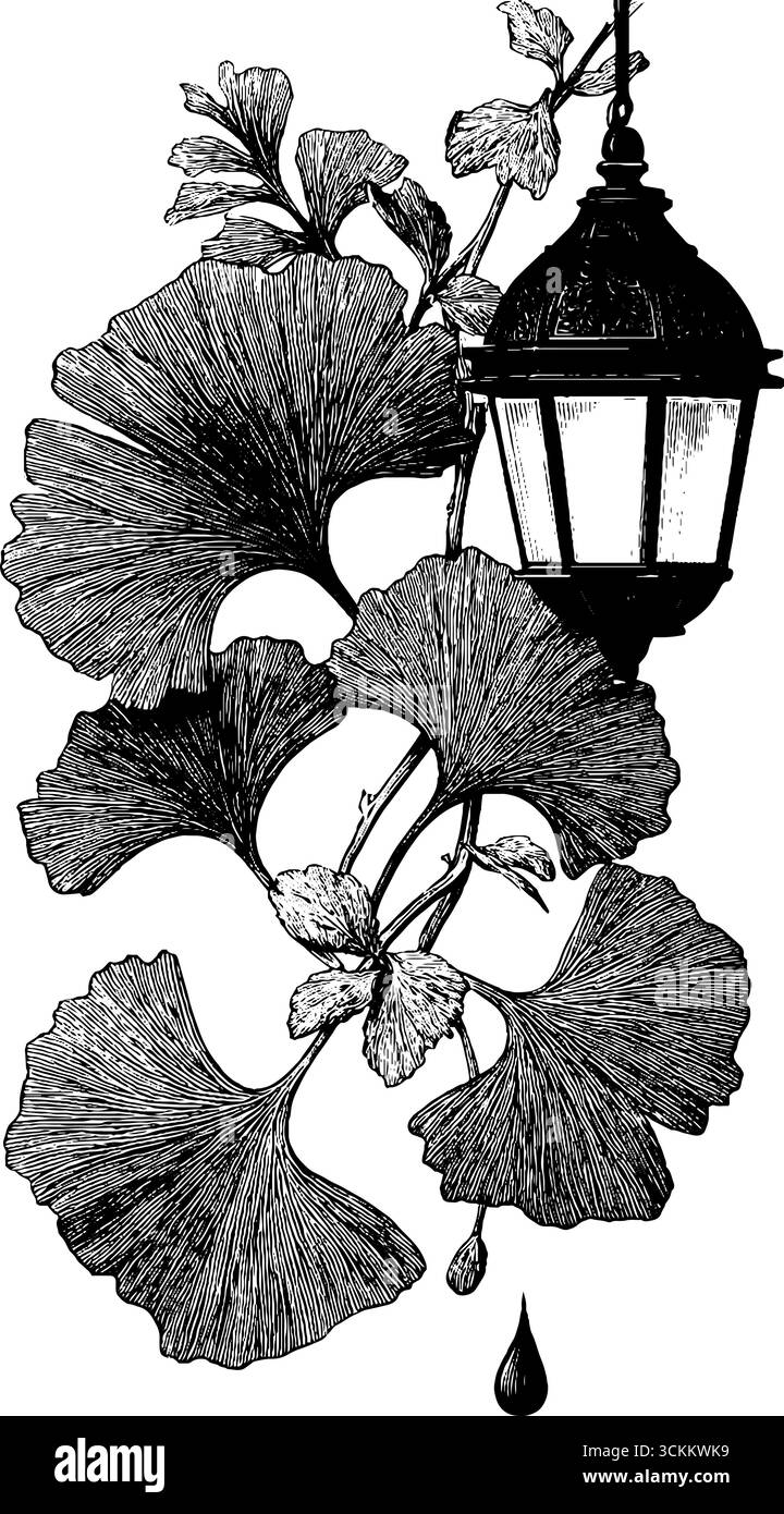 Feuilles ornementales de ginkgo biloba avec gravure de lanterne - design rétro pour affiches et cartes. Illustration de Vecteur