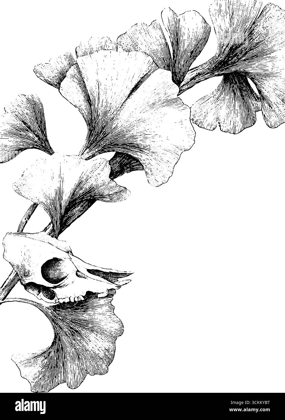 Feuilles de ginkgo vintage dessinées à la main et conception de gravure de crâne d'animal pour un décor rétro. Illustration de Vecteur