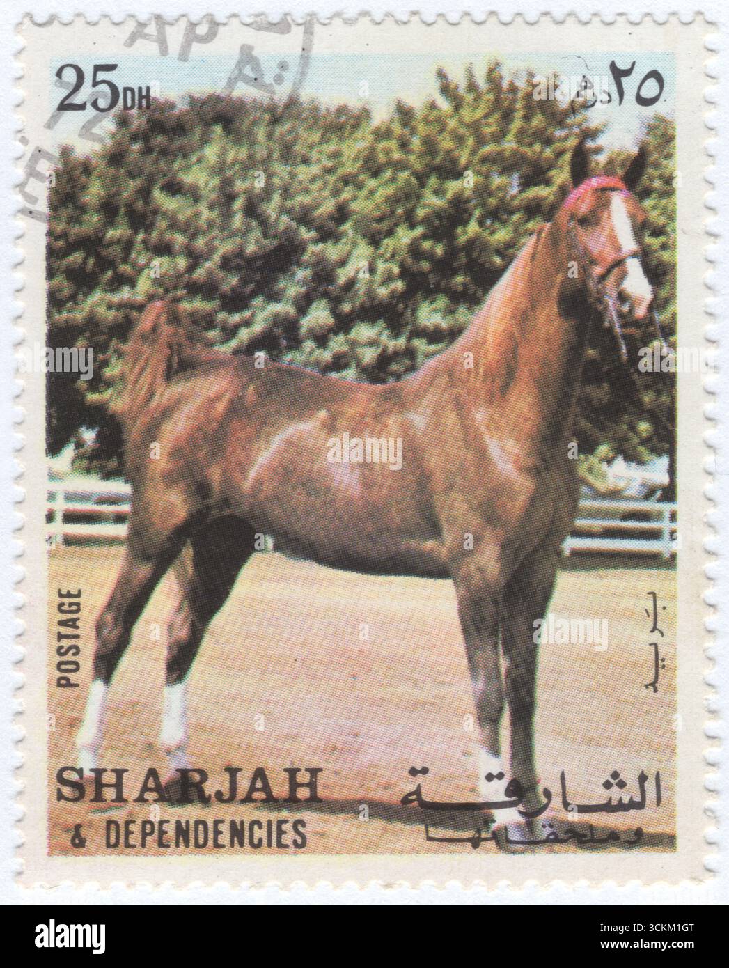SHARJAH - 1972 juillet 28 : timbre-poste multicolore à 25 dirham représentant un cheval arabe sur une arène d'équitation pour le saut d'obstacles, le dressage et les démonstrations de chevaux. Le cheval arabe est une race de cheval avec des racines historiques sur la péninsule arabique. Avec une forme de tête distinctive et un chariot à queue haute, l'Arabian est l'une des races de chevaux les plus facilement reconnaissables au monde. C'est aussi l'une des plus anciennes races modernes. Les chevaux arabes se sont répandus dans le monde entier à la fois par la guerre et le commerce, étant utilisés pour améliorer d'autres races en ajoutant vitesse, raffinement, endurance et os solide Banque D'Images