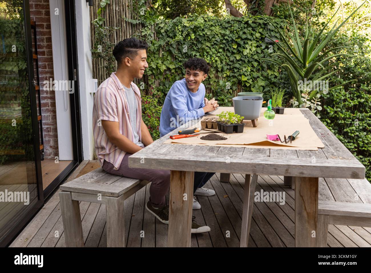 Amis masculins discutant des soins des plantes et arrangeant des plateaux de semis sur la terrasse arrière-cour, espace de copie Banque D'Images