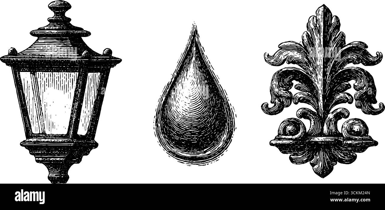 Ensemble ornemental vintage avec ginkgo biloba, larme et fleurs de lis pour un décor rétro et compris Illustration de Vecteur