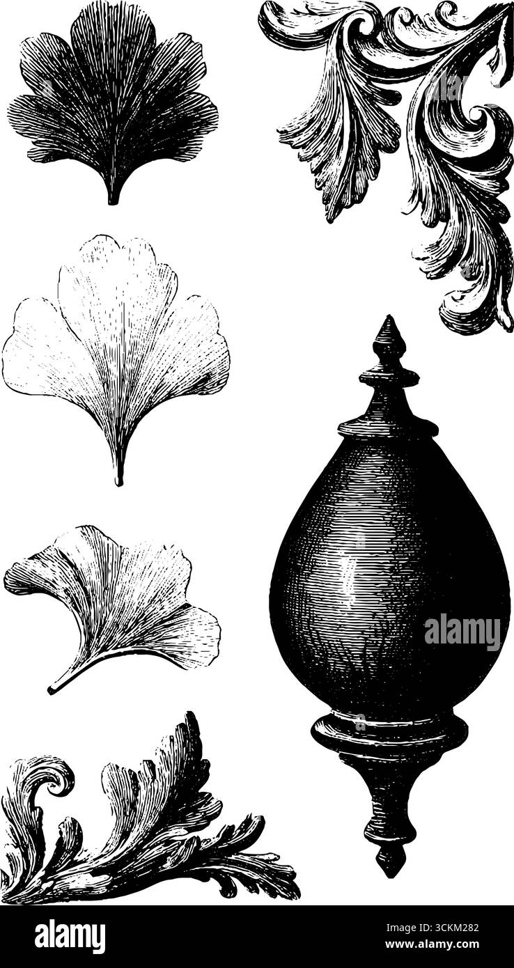 Biloba ornemental et motifs floraux croquis vintage pour le design et la décoration. Illustration de Vecteur