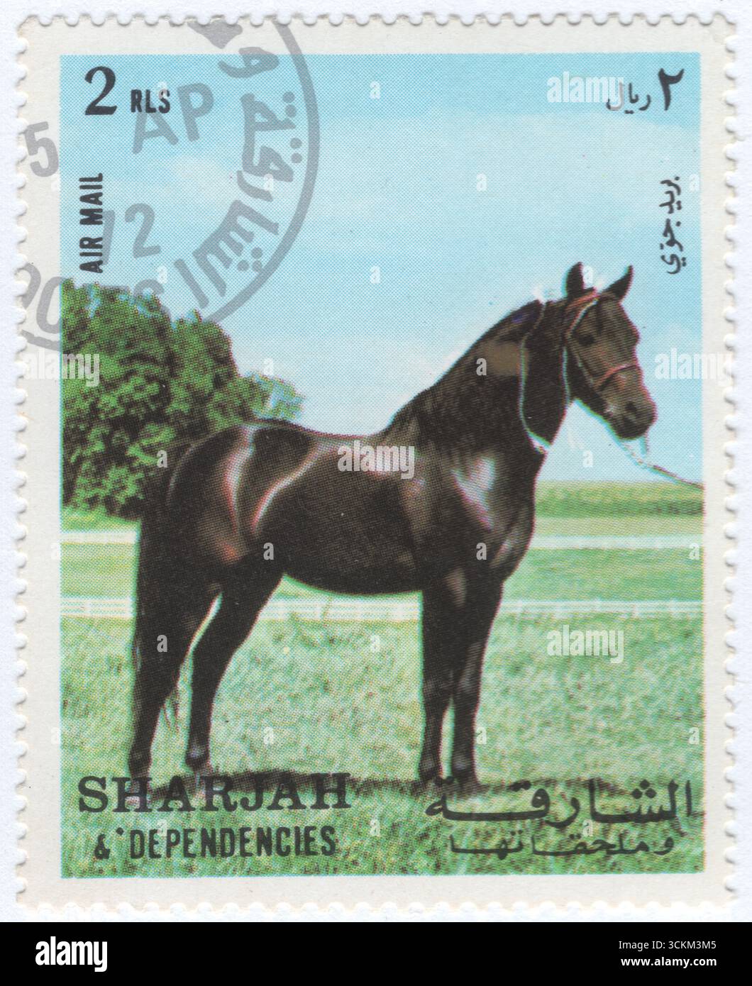 SHARJAH - 1972 juillet 28 : timbre-poste multicolore à 1 riyal représentant un cheval arabe sur une arène d'équitation pour le saut d'obstacles, le dressage et des démonstrations de chevaux. Le cheval arabe est une race de cheval avec des racines historiques sur la péninsule arabique. Avec une forme de tête distinctive et un chariot à queue haute, l'Arabian est l'une des races de chevaux les plus facilement reconnaissables au monde. C'est aussi l'une des plus anciennes races modernes. Les chevaux arabes se sont répandus dans le monde entier à la fois par la guerre et le commerce, étant utilisés pour améliorer d'autres races en ajoutant vitesse, raffinement, endurance et os solide Banque D'Images