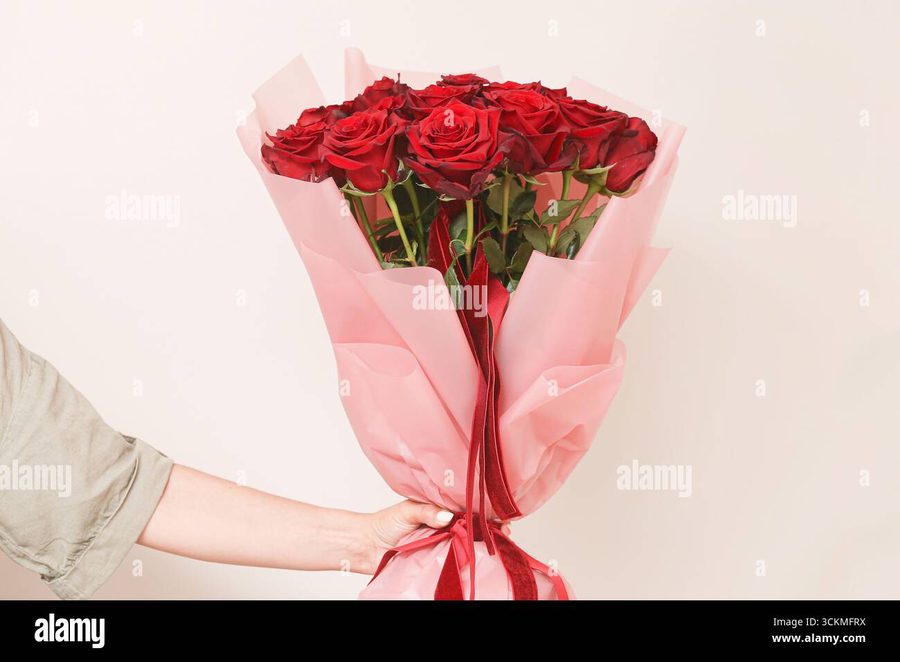 Bouquet de roses rouges enveloppé dans du papier rose. Fleurs de cadeau dans la main de la femme. Cadeau romantique pour la célébration et l'amour. Banque D'Images