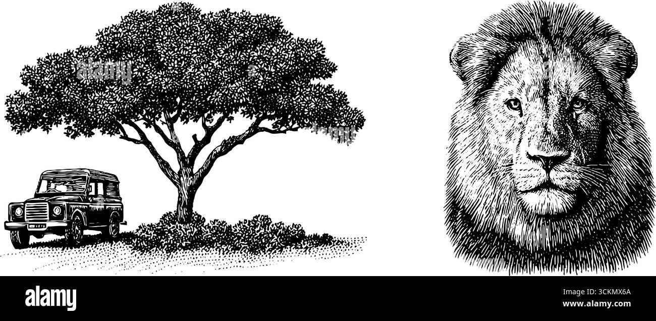 Illustration gravée du lion de savane et de l'arbre d'acacia avec véhicule de safari. Illustration de Vecteur