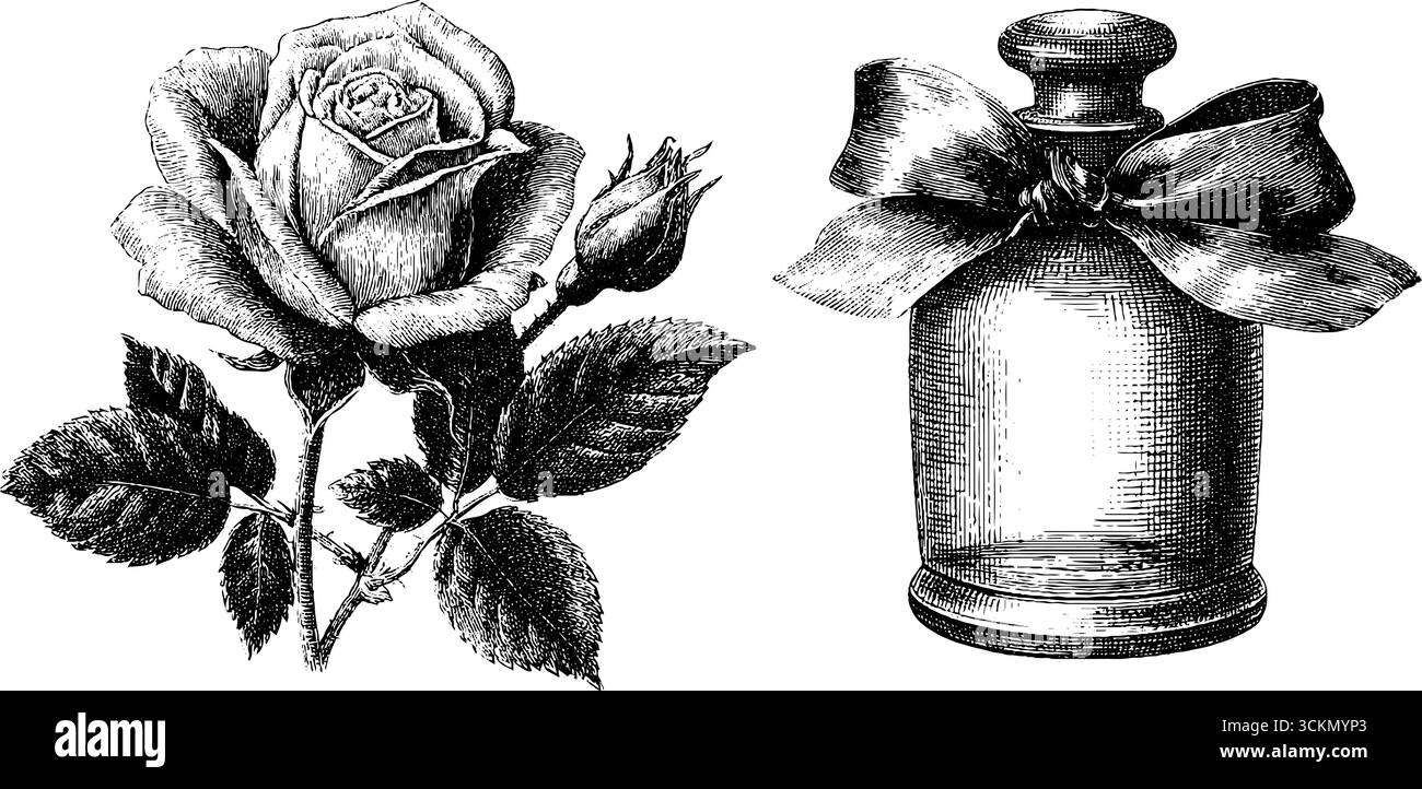 Bouteille de parfum de luxe vintage et gravure rose pour un design d'élégance intemporelle. Illustration de Vecteur