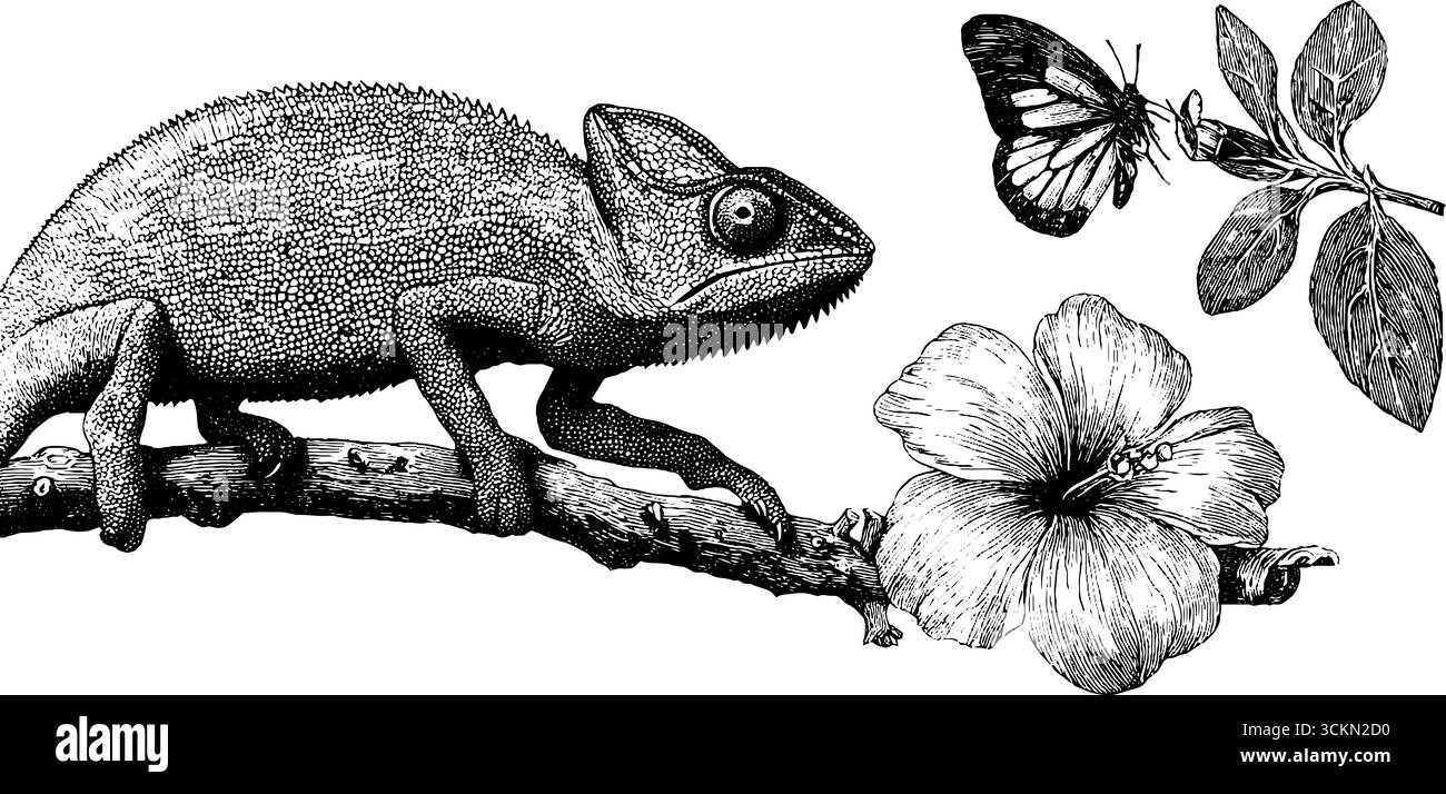 Illustration caméléon gravée sur brindille avec motif papillon et fleur. Illustration de Vecteur