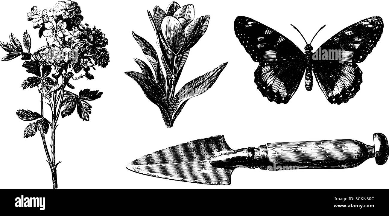 Bouquet floral gravé avec papillons et outils de jardin pour la conception botanique et la décoration. Illustration de Vecteur