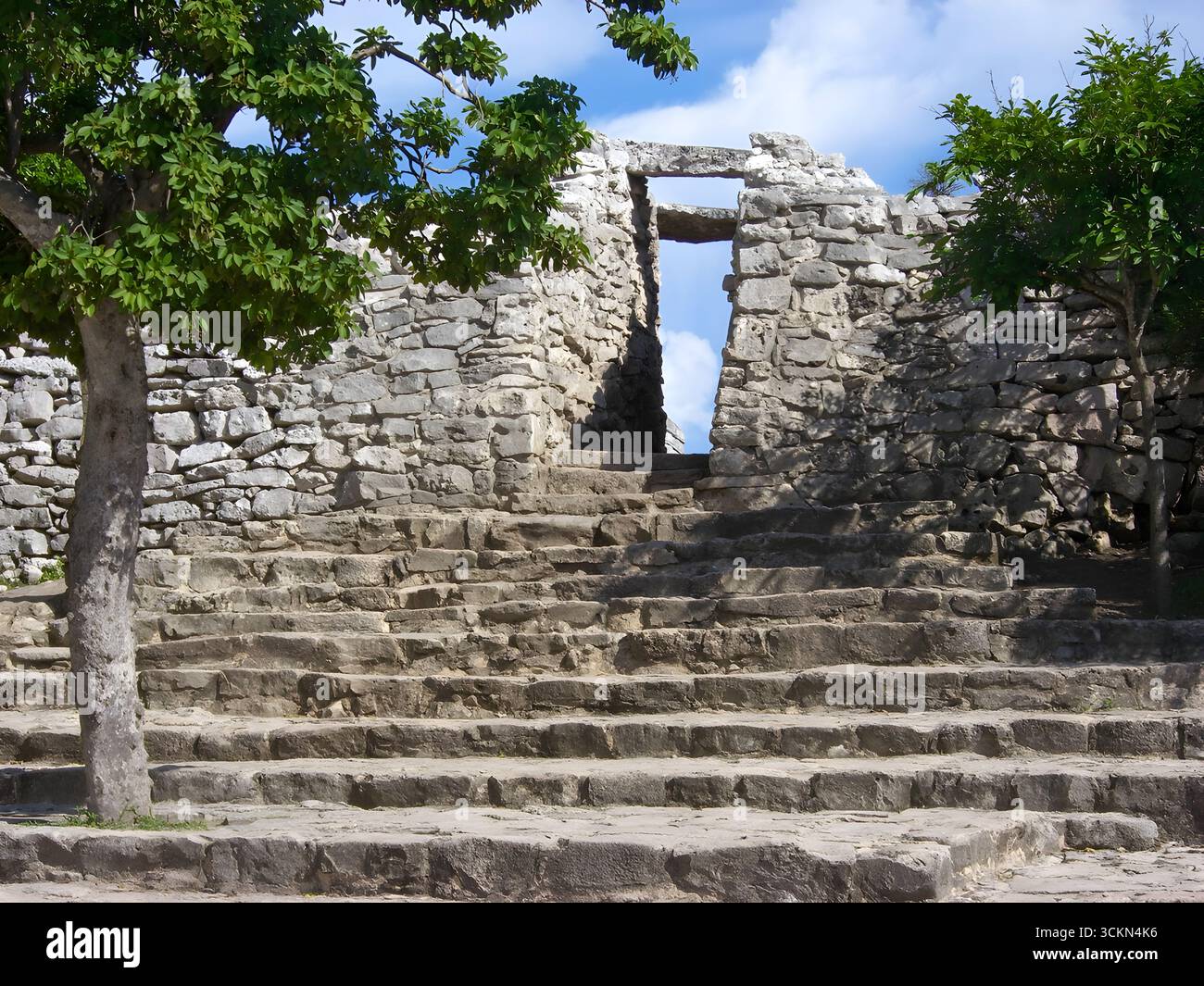 Des marches en pierre et une ancienne passerelle aux ruines mayas de Tulum, au Mexique, entourées d'arbres luxuriants. Banque D'Images