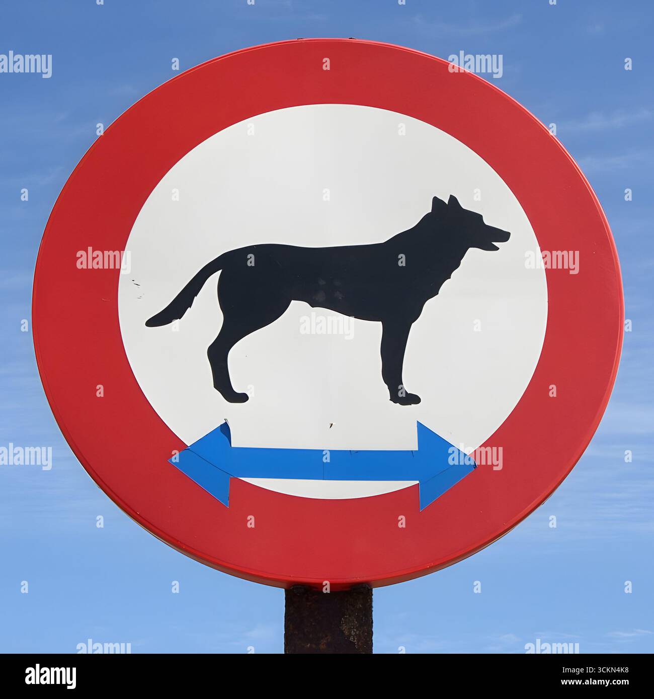 Panneau d'interdiction en Espagne avec silhouette de chien et flèches, indiquant qu'aucun chien n'est autorisé sur la zone d'herbe. Banque D'Images