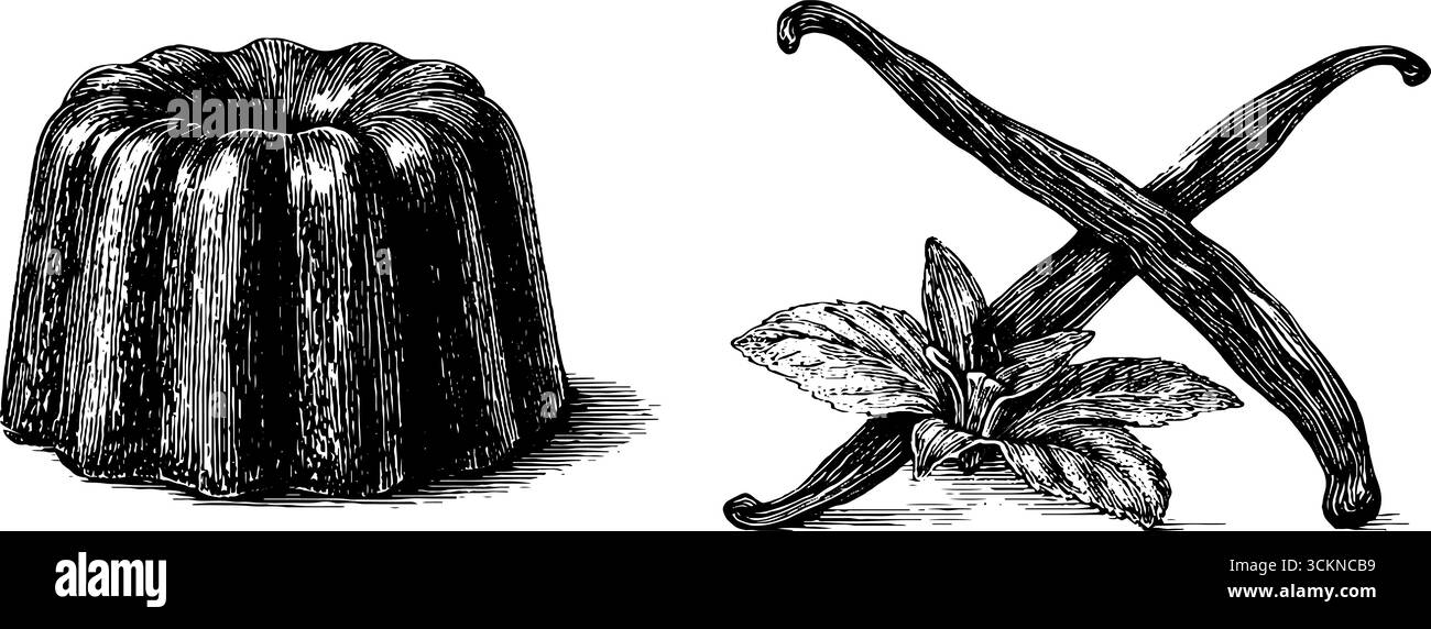 Gravure vintage de dessert canelé et moule en cuivre avec gousses de vanille pour le design culinaire. Illustration de Vecteur