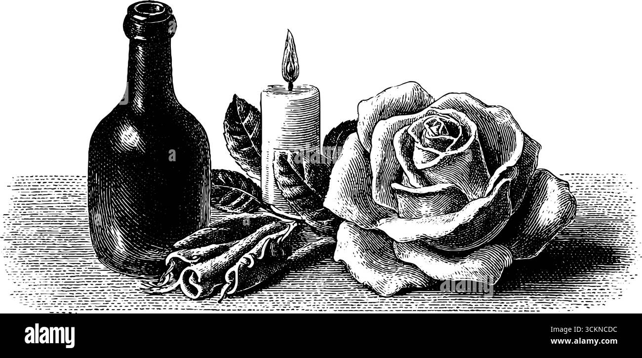 Gravure vintage de pâtes en forme de rose avec bougie et bouteille pour un décor romantique. Illustration de Vecteur