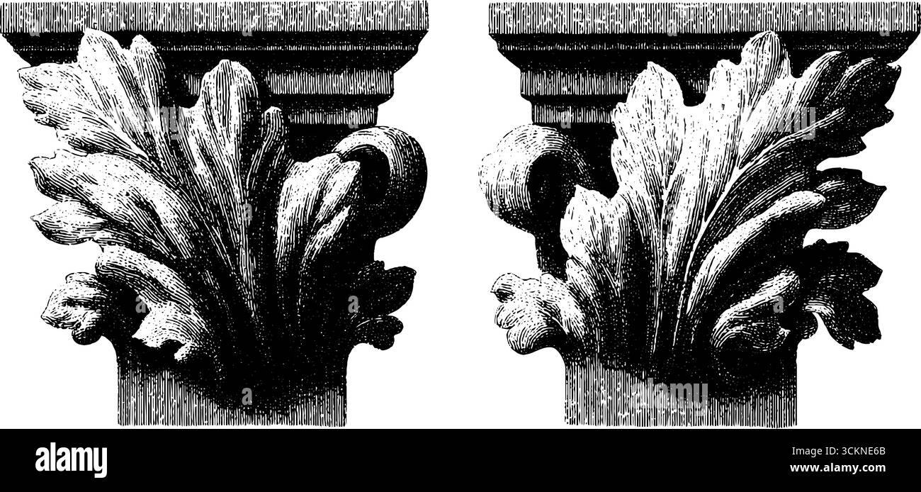 Statues en marbre gravées avec feuilles décoratives pour la conception de l'architecture classique. Illustration de Vecteur