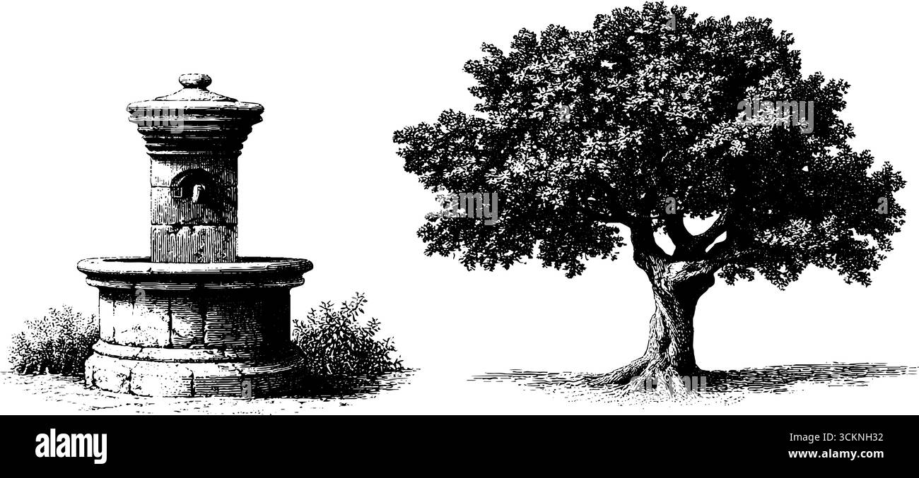 Gravure de jardin d'herbes Tudor avec fontaine et arbre pour un design historique. Illustration de Vecteur