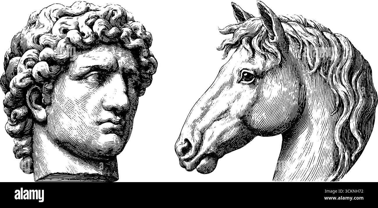 Art classique géorgien : illustrations gravées de bustes humains et de chevaux pour des conceptions historiques. Illustration de Vecteur