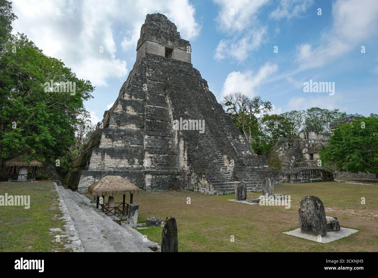 Flores, Guatemala - 12 juin 2025 : Temple du Grand Jaguar à Tikal, c'est les ruines d'une ancienne ville maya à Flores, Peten, Guatemala Banque D'Images
