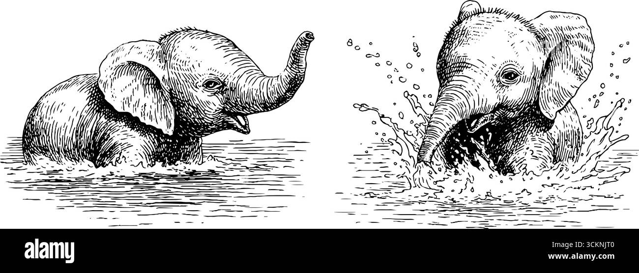 Charmantes illustrations gravées de bébés éléphants jouant dans l'eau. Illustration de Vecteur
