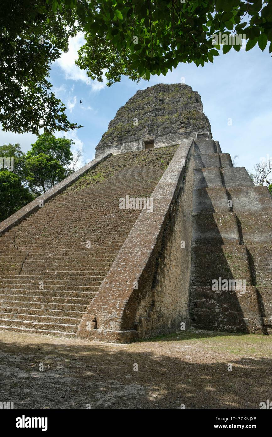 Flores, Guatemala - 12 juin 2025 : Temple V à Tikal, c'est les ruines d'une ancienne ville maya à Flores, département de Peten, Guatemala. Banque D'Images