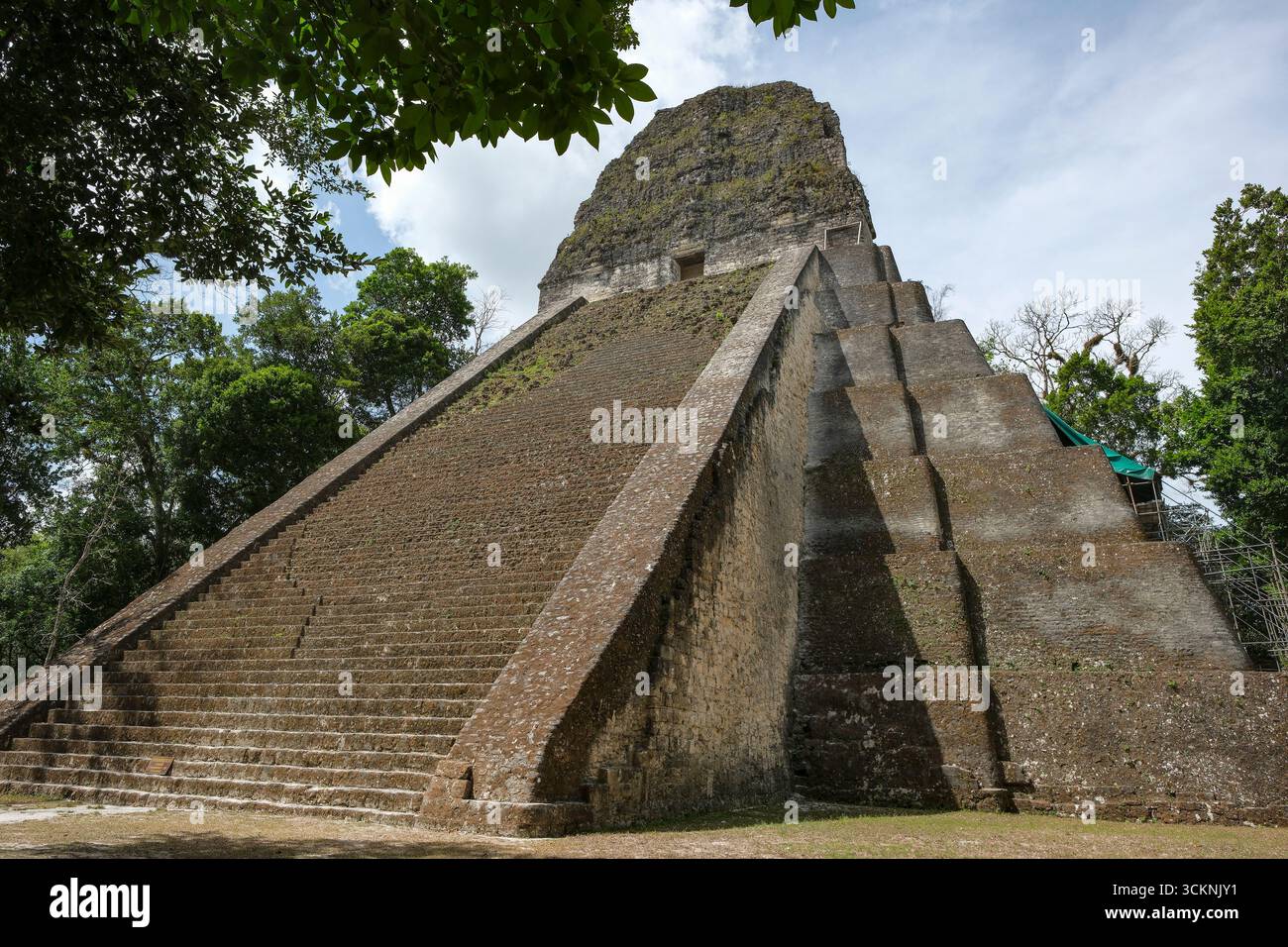 Flores, Guatemala - 12 juin 2025 : Temple V à Tikal, c'est les ruines d'une ancienne ville maya à Flores, département de Peten, Guatemala. Banque D'Images