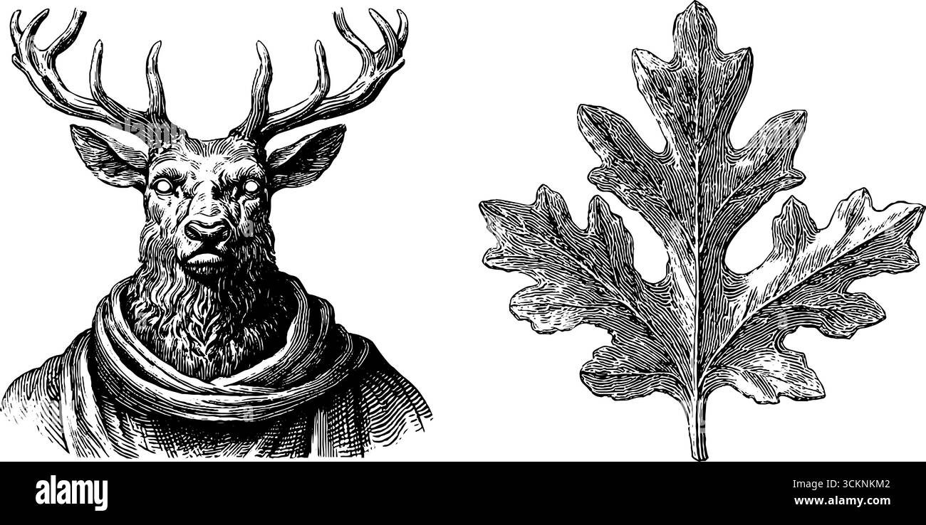 Ensemble d'illustrations gravées représentant un gardien de la forêt et un motif feuilles de chêne. Illustration de Vecteur