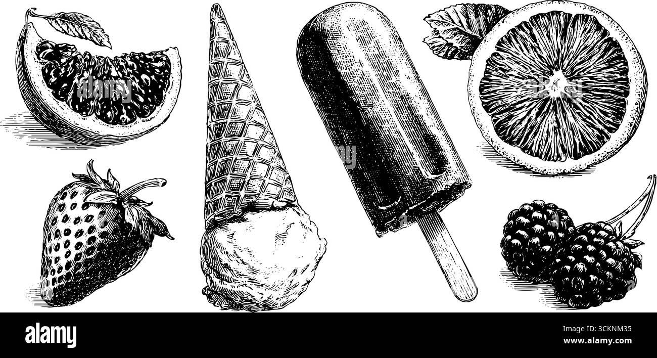 Illustration gravée de friandises d'été congelées : crème glacée et fruits à usage de design. Illustration de Vecteur