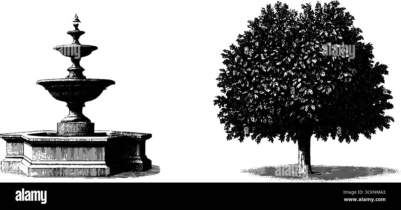 Éléments de jardin géorgien formels : illustrations gravées d'une fontaine classique et d'un arbre. Illustration de Vecteur