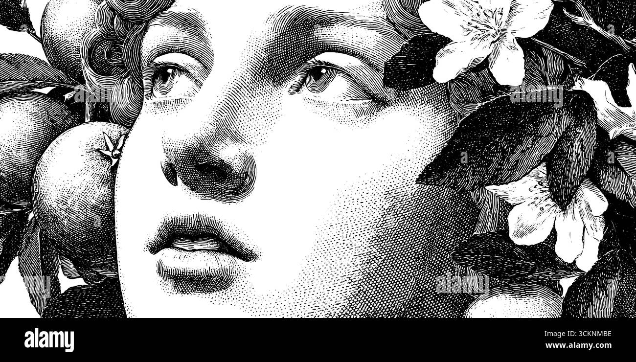 Illustration gravée de perséphone avec des grenades et des fleurs. Illustration de Vecteur