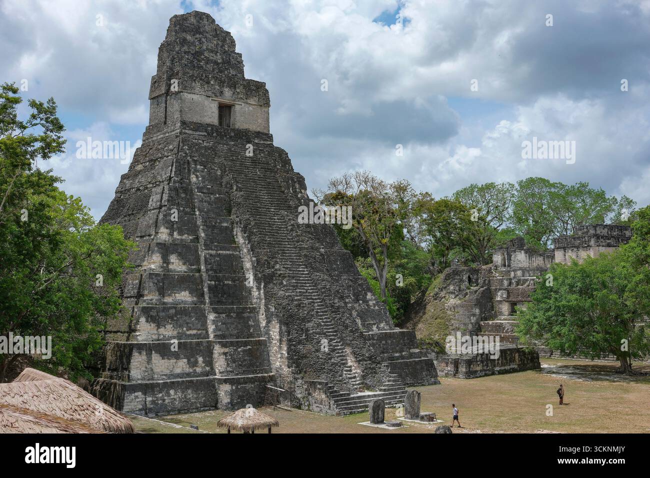 Flores, Guatemala - 12 juin 2025 : Temple du Grand Jaguar à Tikal, c'est les ruines d'une ancienne ville maya à Flores, Peten, Guatemala. Banque D'Images