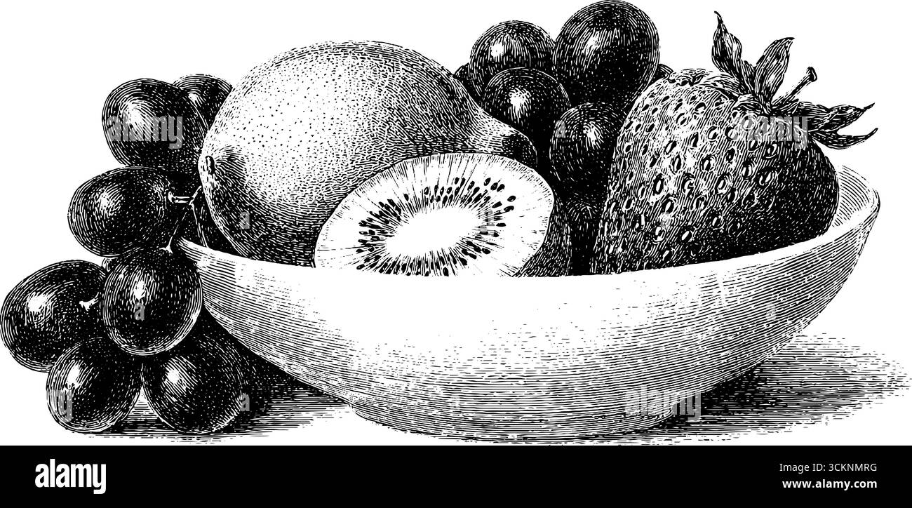Illustration gravée d'une salade de fruits d'été avec kiwi et fraises. Illustration de Vecteur