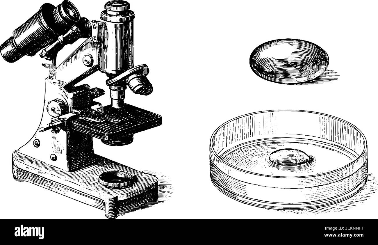 Équipement scientifique vintage : microscope rétro de laboratoire et gravure de boîtes de Petri pour la conception éducative. Illustration de Vecteur