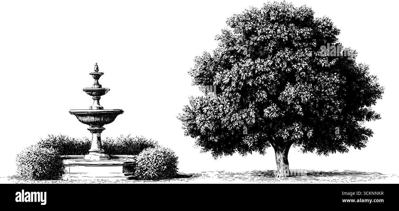 Illustration de jardin géorgienne formelle avec fontaine et arbre pour un design classique. Illustration de Vecteur