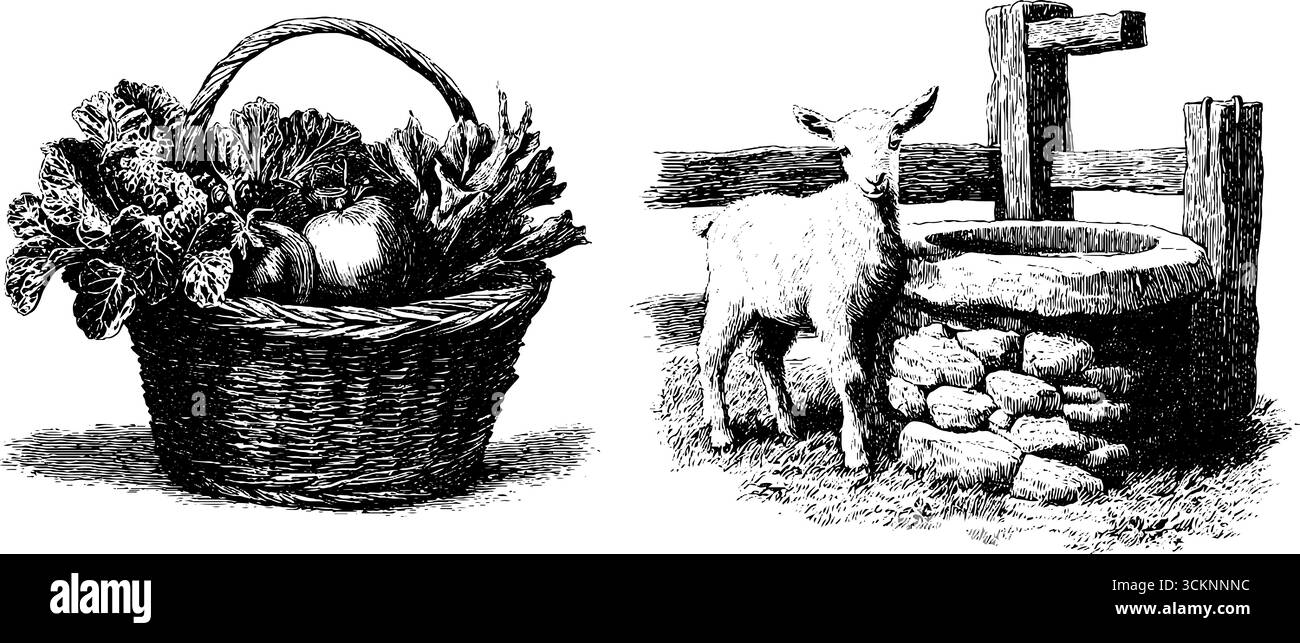 Gravure vintage du panier du fermier avec légumes et agneau par scène de puits. Illustration de Vecteur