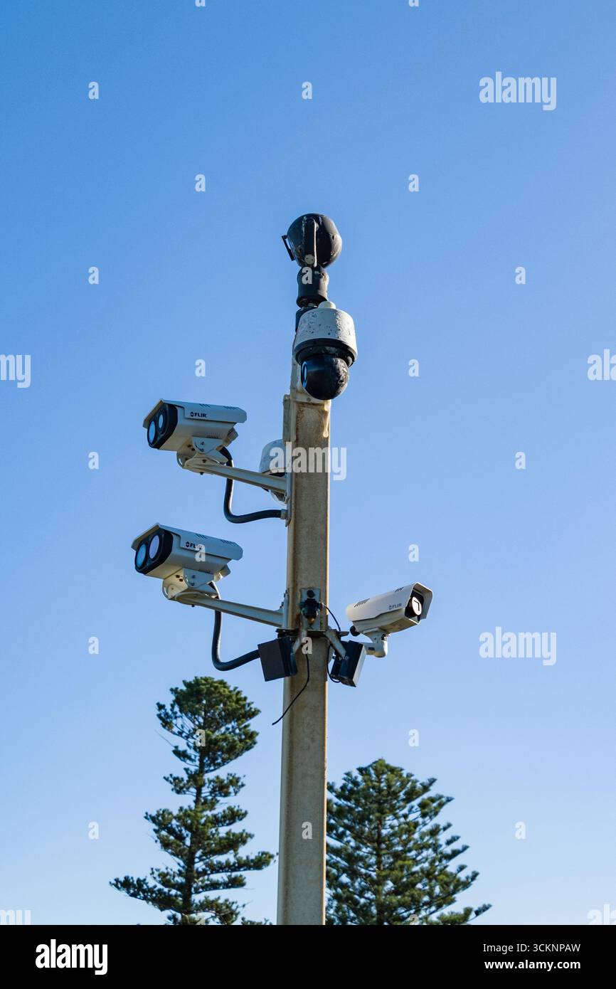 Plusieurs caméras de sécurité installées sur un poteau avec de la verdure et un ciel bleu vibrant, mettant l'accent sur l'observation et l'équipement de sécurité pour la sécurité extérieure Banque D'Images