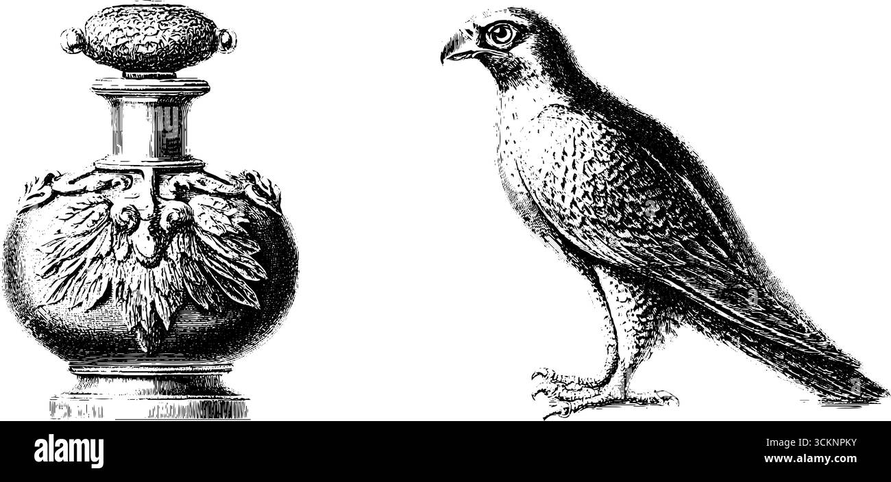 Ensemble d'illustrations gravées vintage représentant un faucon et une bouteille parfumée ornée. Illustration de Vecteur