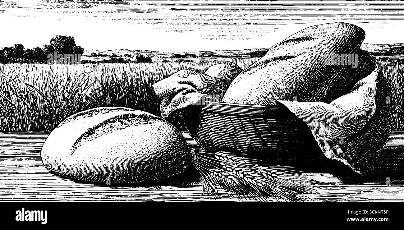 Gravure d'assortiment de pain de campagne rustique avec fond de champ de blé. Illustration de Vecteur