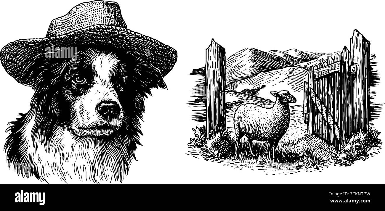 Illustration gravée d'une scène de berger et d'élevage de moutons dans un cadre pastoral. Illustration de Vecteur