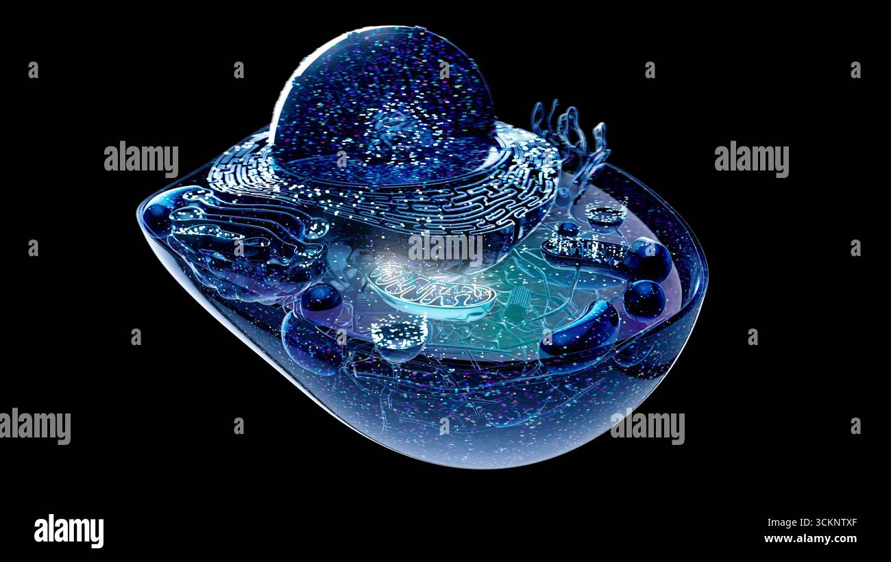 Illustration d'une cellule animale avec une mitochondrie (bleu clair) mise en évidence. Les mitochondries sont des organites qui produisent de l'énergie pour une cellule. Banque D'Images