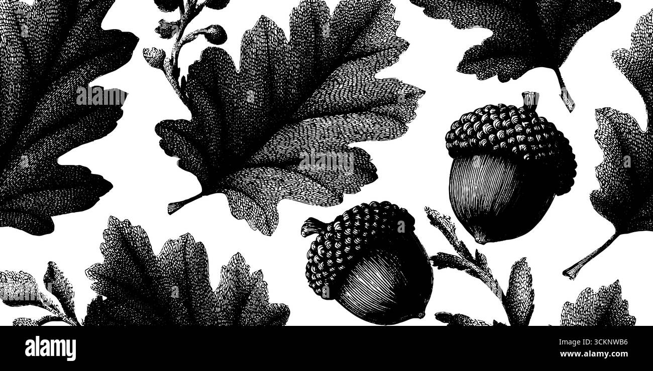Motif sans couture de feuilles d'automne gravées et de glands. Illustration de Vecteur