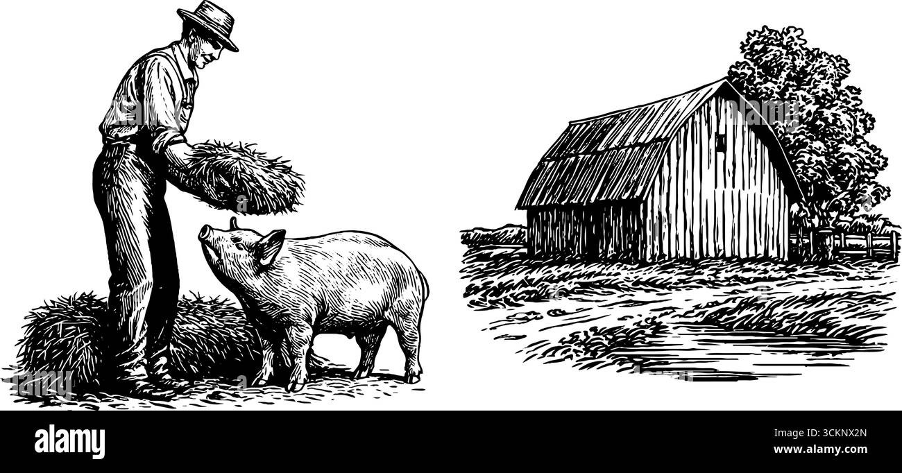 Scène agricole rurale avec porc nourrissant fermier et illustration de grange rustique. Illustration de Vecteur