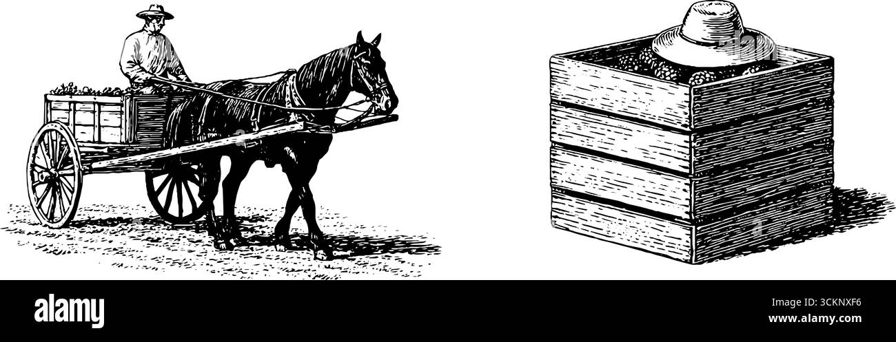Illustration gravée de chariot tiré par des chevaux et boîte avec chapeau - transport vintage et scène agricole. Illustration de Vecteur