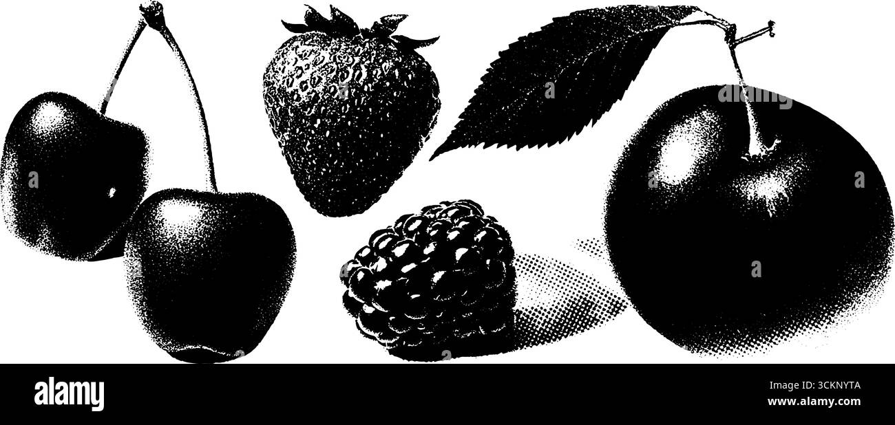 annetdebar gravure minimaliste pointillés et texture demi-teinte 0f252c9a-f732-4eee-b54b-aa8b29ac98bd 1 tracé Illustration de Vecteur